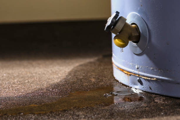 Best Water damage restoration mold remediation  in Ocala, FL
