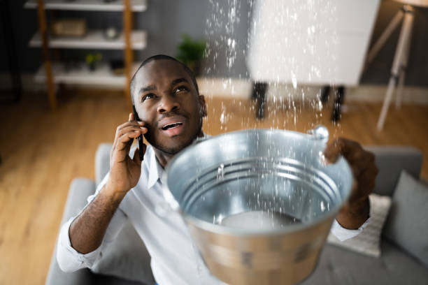 Best Flooded house restoration  in Ocala, FL
