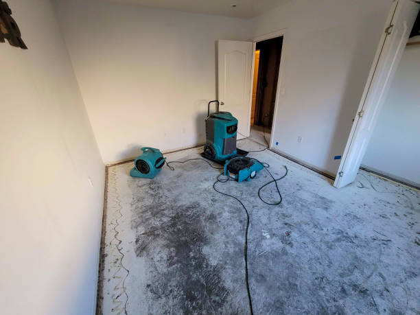 Best Water damage cleanup near me  in Ocala, FL