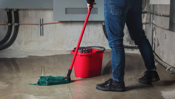 Best Water damage cleanup near me  in Ocala, FL
