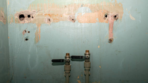Best Sewage cleanup and water damage restoration  in Ocala, FL
