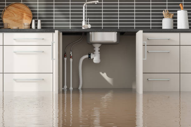 Best 24-hour water damage restoration  in Ocala, FL