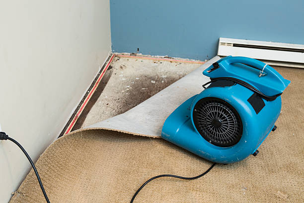 Water damage restoration mold remediation in FL